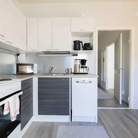 Apartment Vuokrakaista Business Keskustassa Ilmainen Parkki
